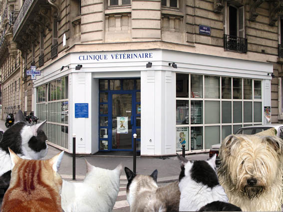 clinique veterinaire paris
